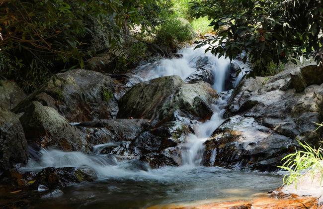 Du An Garden Retreat Forest - Foto 16