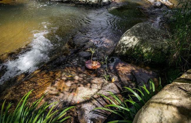 Du An Garden Retreat Forest - Foto 12