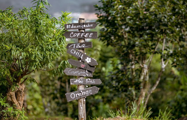 Du An Garden Retreat Forest - Foto 15