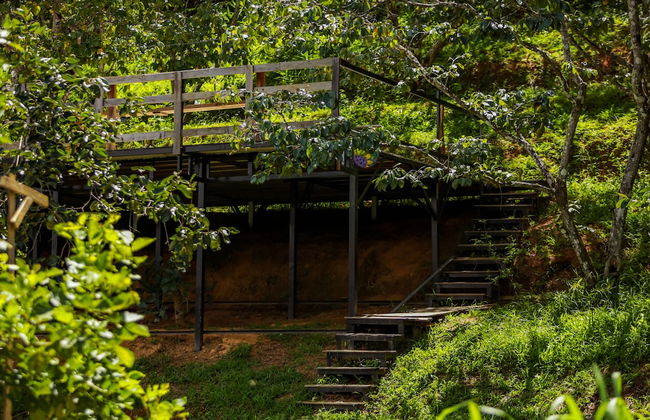 Du An Garden Retreat Forest - Foto 17