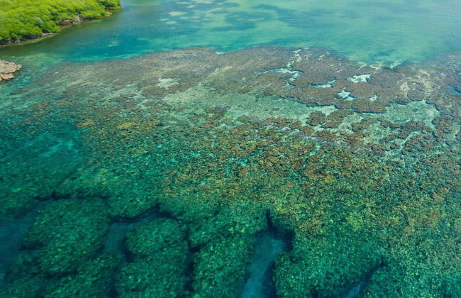 Serenity Beach House - Photo 39