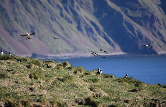 Canna Campsite - Photo 38