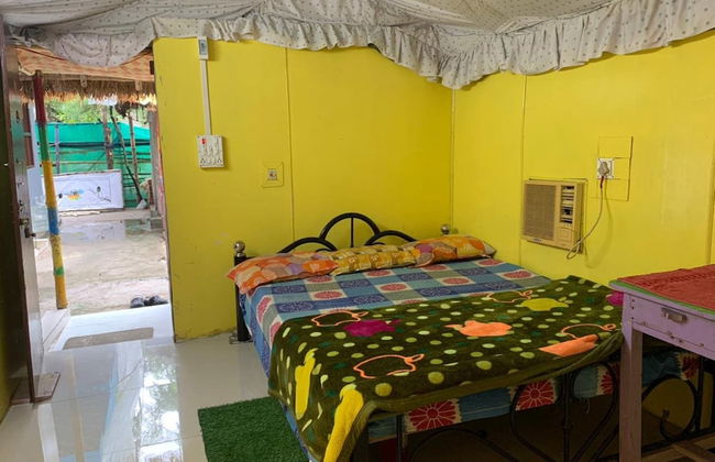 Holud Pakhi - Photo 4