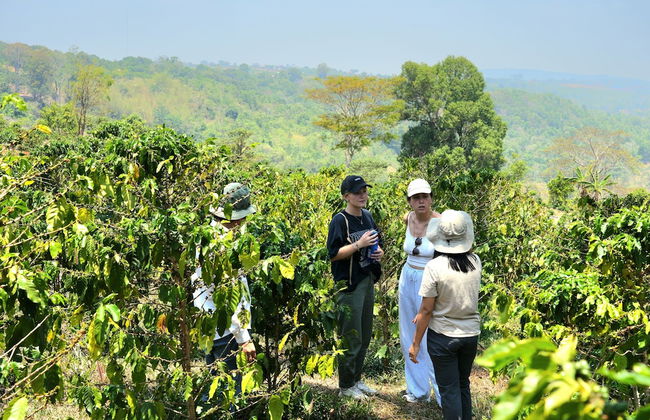 PIDA COFFEE FARM LODGE - Foto 40