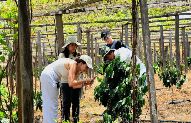 PIDA COFFEE FARM LODGE - Foto 39
