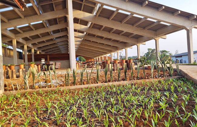 PIDA COFFEE FARM LODGE - Foto 47
