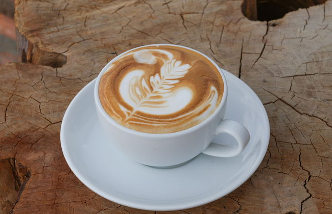 PIDA COFFEE FARM LODGE - Foto 48