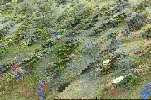 Foto 67 - PIDA COFFEE FARM LODGE