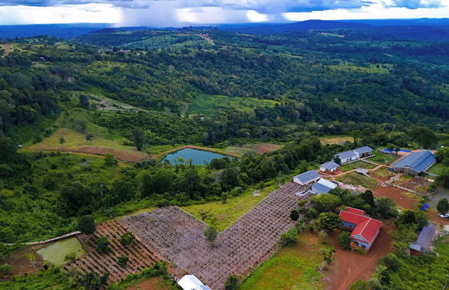PIDA COFFEE FARM LODGE - Foto 71