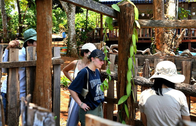 PIDA COFFEE FARM LODGE - Foto 37