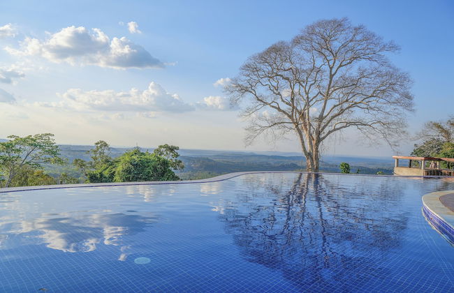 PIDA COFFEE FARM LODGE - Foto 1