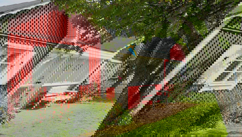 Imagem principal