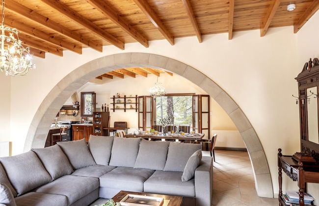 Troodos Mature Pine Chalet - Foto 6