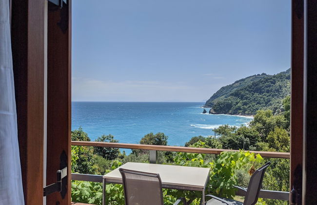 Daria's home at Pelion - Photo 16