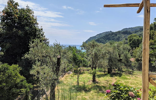 Daria's home at Pelion - Photo 43