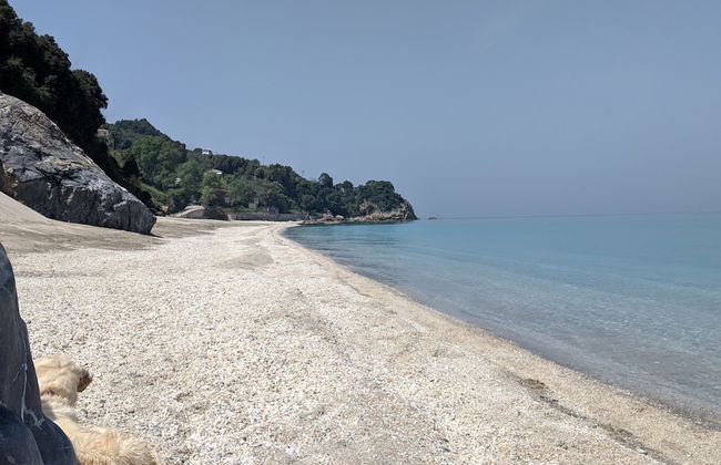 Daria's home at Pelion - Photo 45