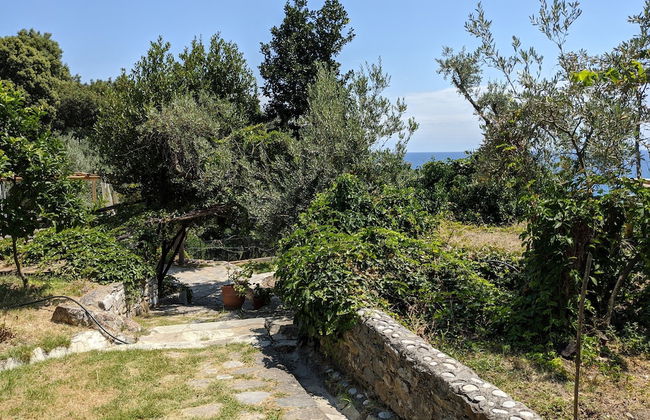 Daria's home at Pelion - Photo 44