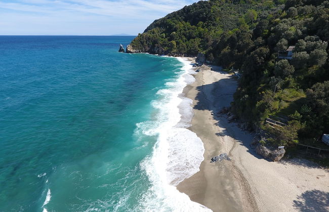 Daria's home at Pelion - Photo 53