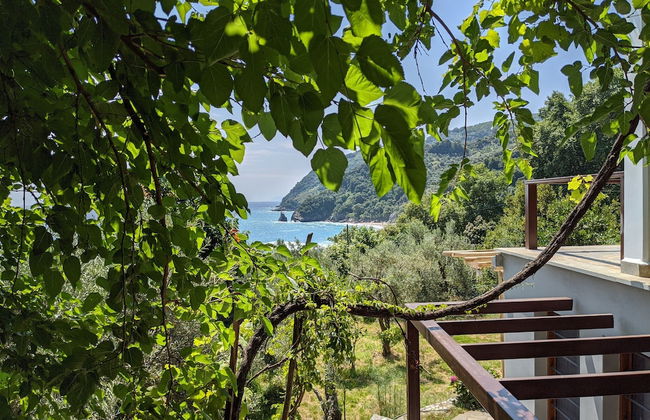 Daria's home at Pelion - Photo 42