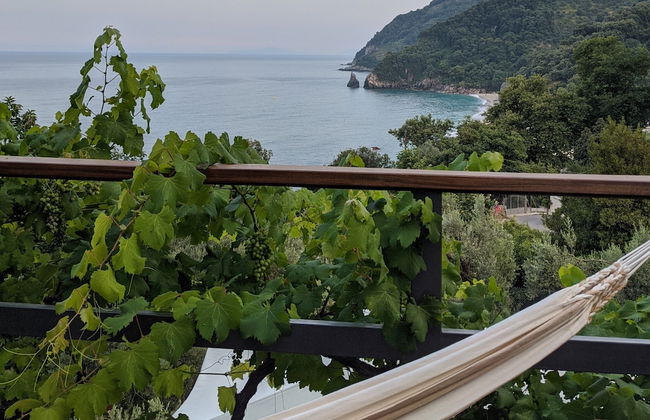 Daria's home at Pelion - Photo 23