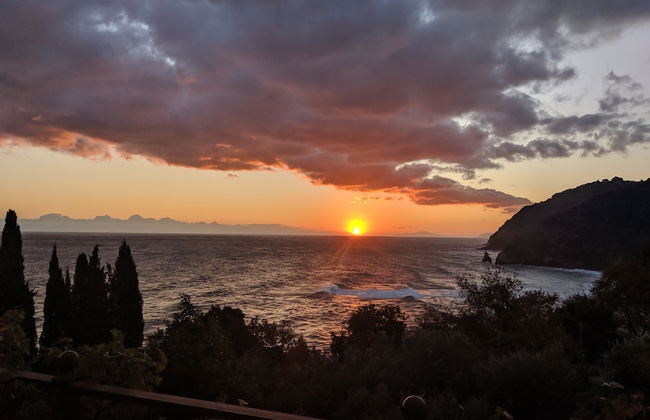 Daria's home at Pelion - Photo 25