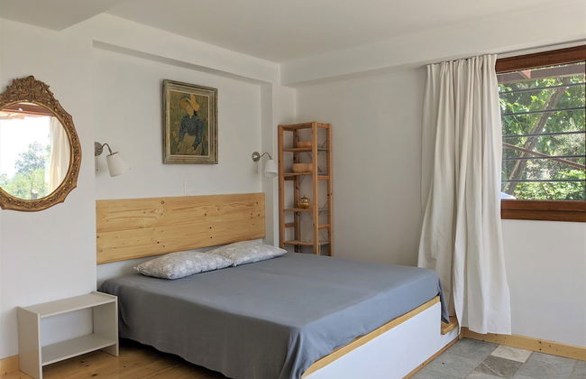 Daria's home at Pelion - Photo 6