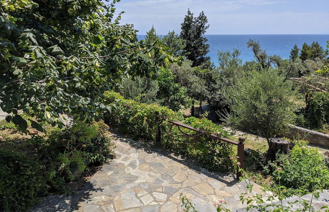 Daria's home at Pelion - Photo 46