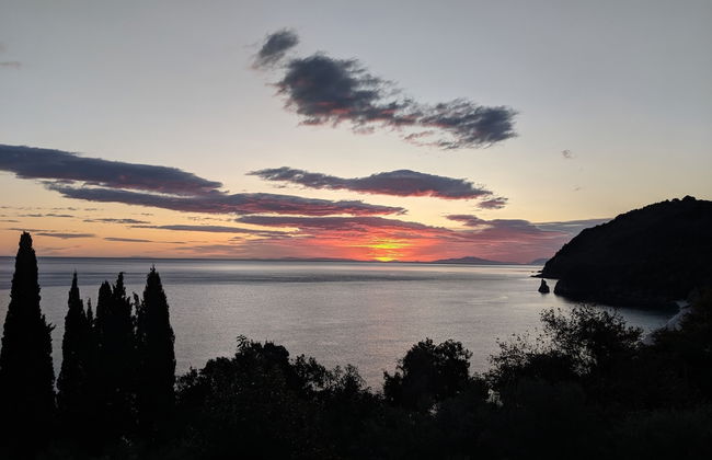 Daria's home at Pelion - Photo 51