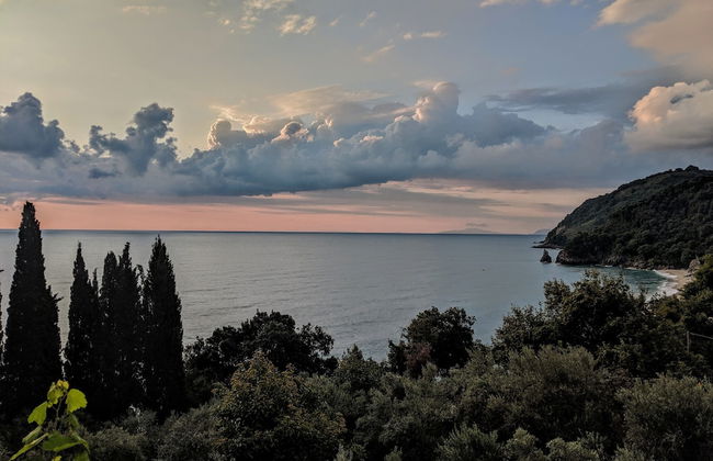 Daria's home at Pelion - Photo 40