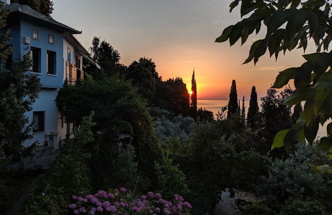 Daria's home at Pelion - Photo 39