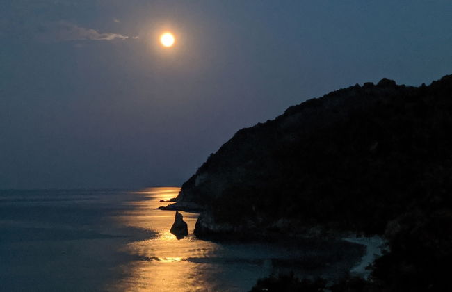 Daria's home at Pelion - Photo 41