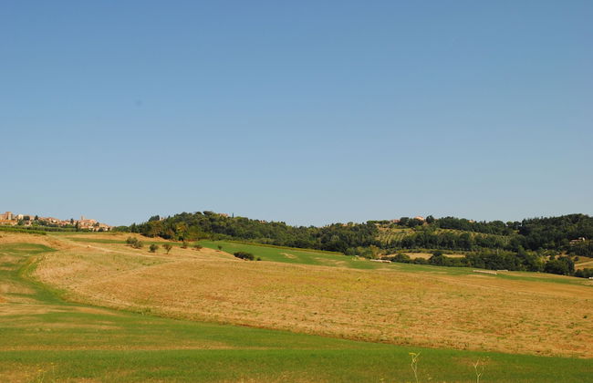 Alice - Podere Ribatti Casole d'Elsa - Foto 18