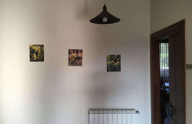 Usotegi Agroturismo - Foto 47