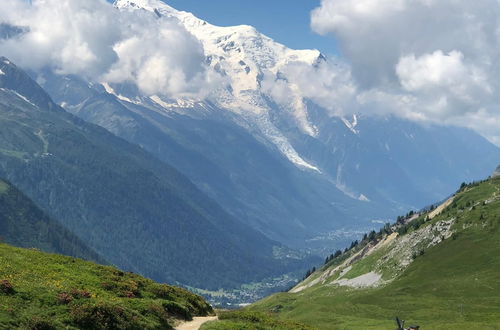 Photo 33 - La nature skis aux pieds Viachamonix