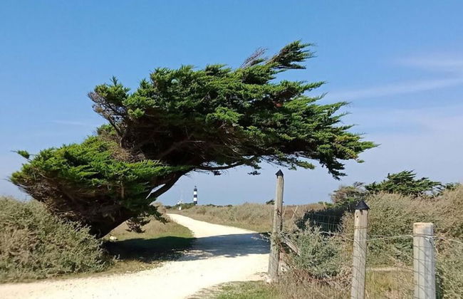 Apartment on Ile D'oleron Near Beach - Foto 9