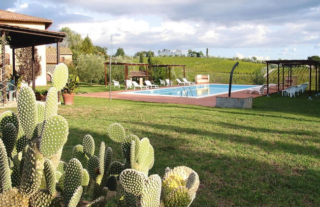 Agriturismo Poggio al Sole, Vinci - Foto 2