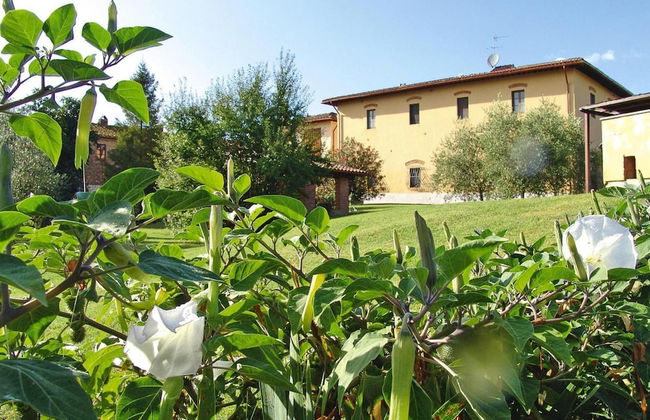 Agriturismo Poggio al Sole, Vinci - Foto 8