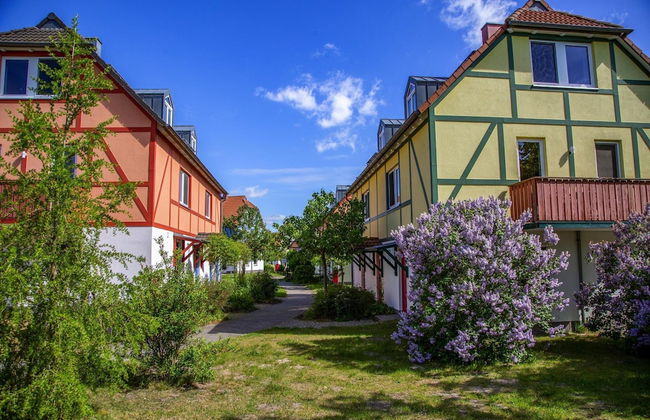 Apartamento de 2 quartos em Göhren-Lebbin com piscina e jardim - Foto 37