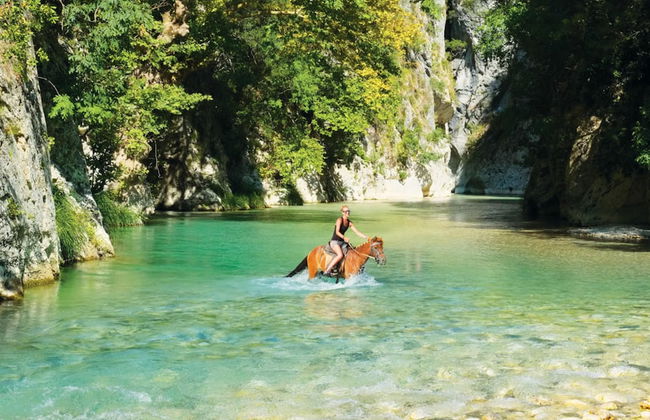 White Orchid Jumellea - Foto 23