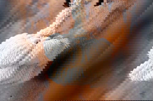 Photo 15 - Raffaello