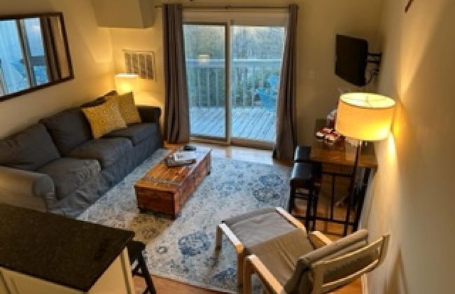 Condo Wintergreen pet Friendly Pool Access - Photo 9