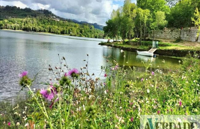 Forest Hideaway Near Douro Valley - Foto 34