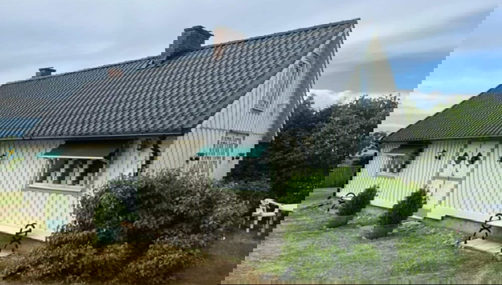 Primary image