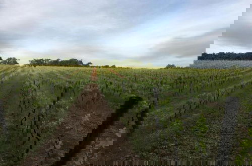 Foto 74 - Modern Holiday Home in Aquitaine