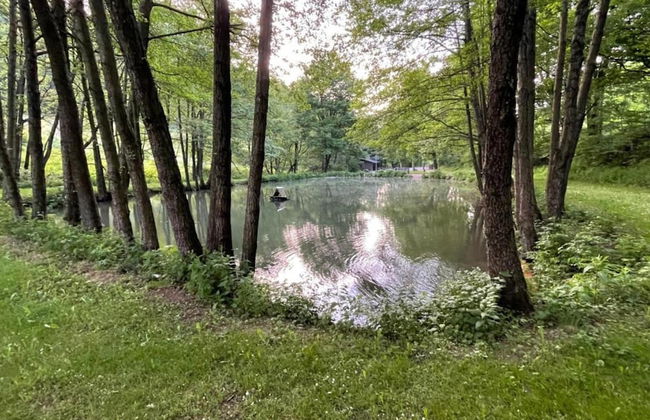 Spacious Apartment in Rattlar near Forest - Foto 29