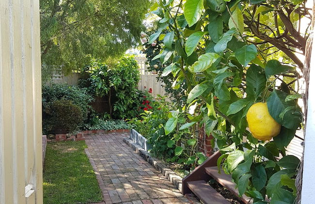 Healesville House - Fig Tree House - Foto 20