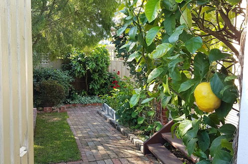 Photo 20 - Healesville House - Fig Tree House