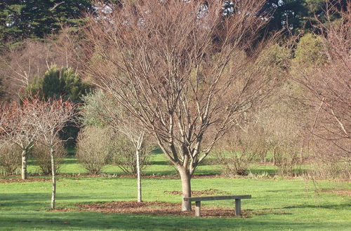 Photo 32 - Boat Harbour Garden Cottages