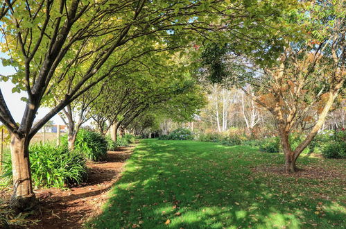 Foto 40 - Boat Harbour Garden Cottages