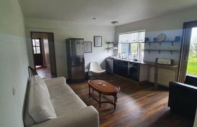 Borealis Lodges - Foto 15